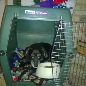 Meet your Posher, Candy